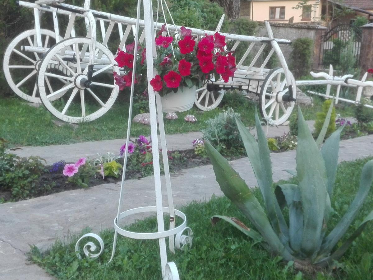 Casa De Vacanta Silvia Vărmaga Εξωτερικό φωτογραφία