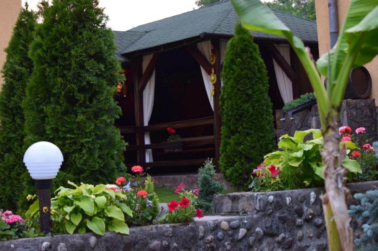 Casa De Vacanta Silvia Vărmaga Εξωτερικό φωτογραφία