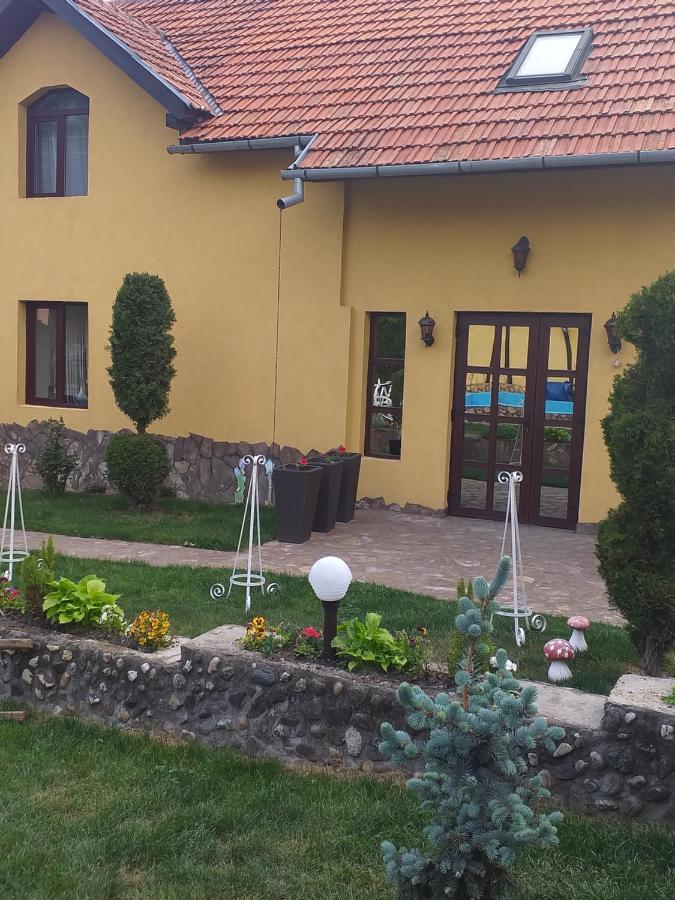 Casa De Vacanta Silvia Vărmaga Εξωτερικό φωτογραφία